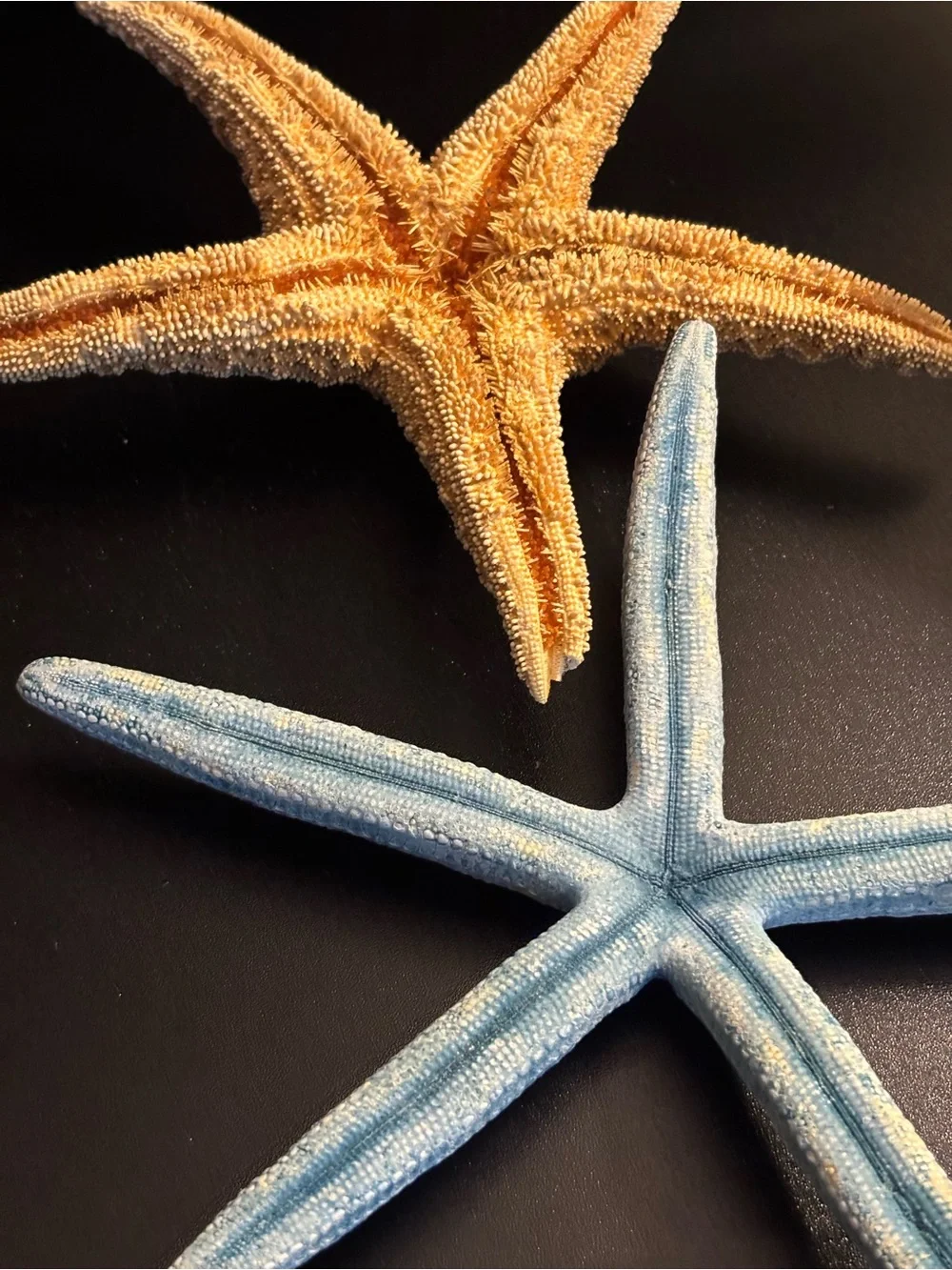 Starfish Pair - Blue & Natural Tan Coastal Accents - Picture 4 of 6